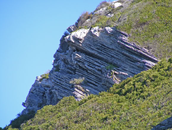 The Sandveld Group’s Langebaan Formation The youngest rock type is aeolianites (dune-rocks, sand grains of quartz and shell fragments, cemented with calcite) which were deposited, about 200 000 years ago, by summer southeasterly winds. These limestones can be seen at Bordjiesdrif and Dias Beach.